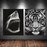 Black and White: Shark & Cheetah