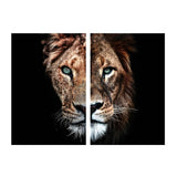 Black and White African Lion