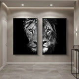 Black and White African Lion