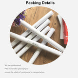 Black and White African Lion