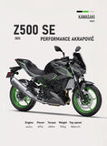 2025 K-Kawasaki Z900 Z650