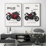 2025 K-Kawasaki Z900 Z650