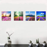 4  Canvas Tulip Fields Art
