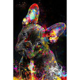 Abstract Watercolour Graffiti Animals