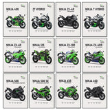 2025 K-Kawasaki Z900 Z650