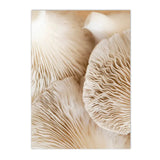 Natural Scenery at the Beach