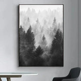 Black And White Trees