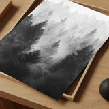 Black And White Trees