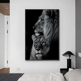 African Lion