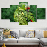 5 Pieces  Parrot