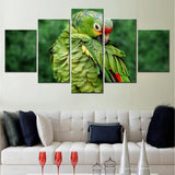 5 Pieces  Parrot