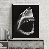 Black and White: Shark & Cheetah