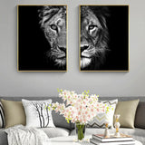 Black and White African Lion