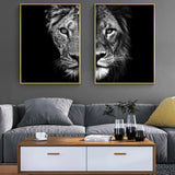 Black and White African Lion