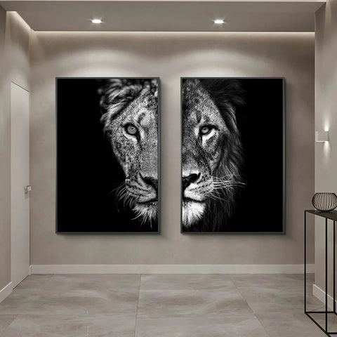Black and White African Lion