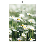 Nature &  Dandelion Prints