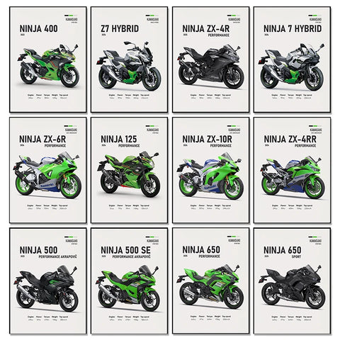 2025 K-Kawasaki Z900 Z650