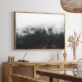 Natural Foggy  Forest