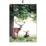 Nature &  Dandelion Prints