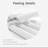 Pirates of the Caribbean