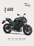 2025 K-Kawasaki Z900 Z650