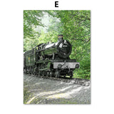 Nature &  Dandelion Prints