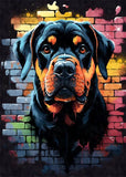 Colorful Graffiti Dog