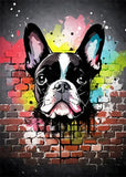 Colorful Graffiti Dog