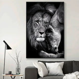 African Lion