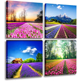4  Canvas Tulip Fields Art