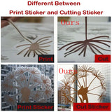 Star Wars  Wall Decals