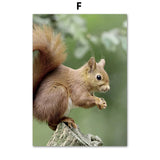 Nature &  Dandelion Prints